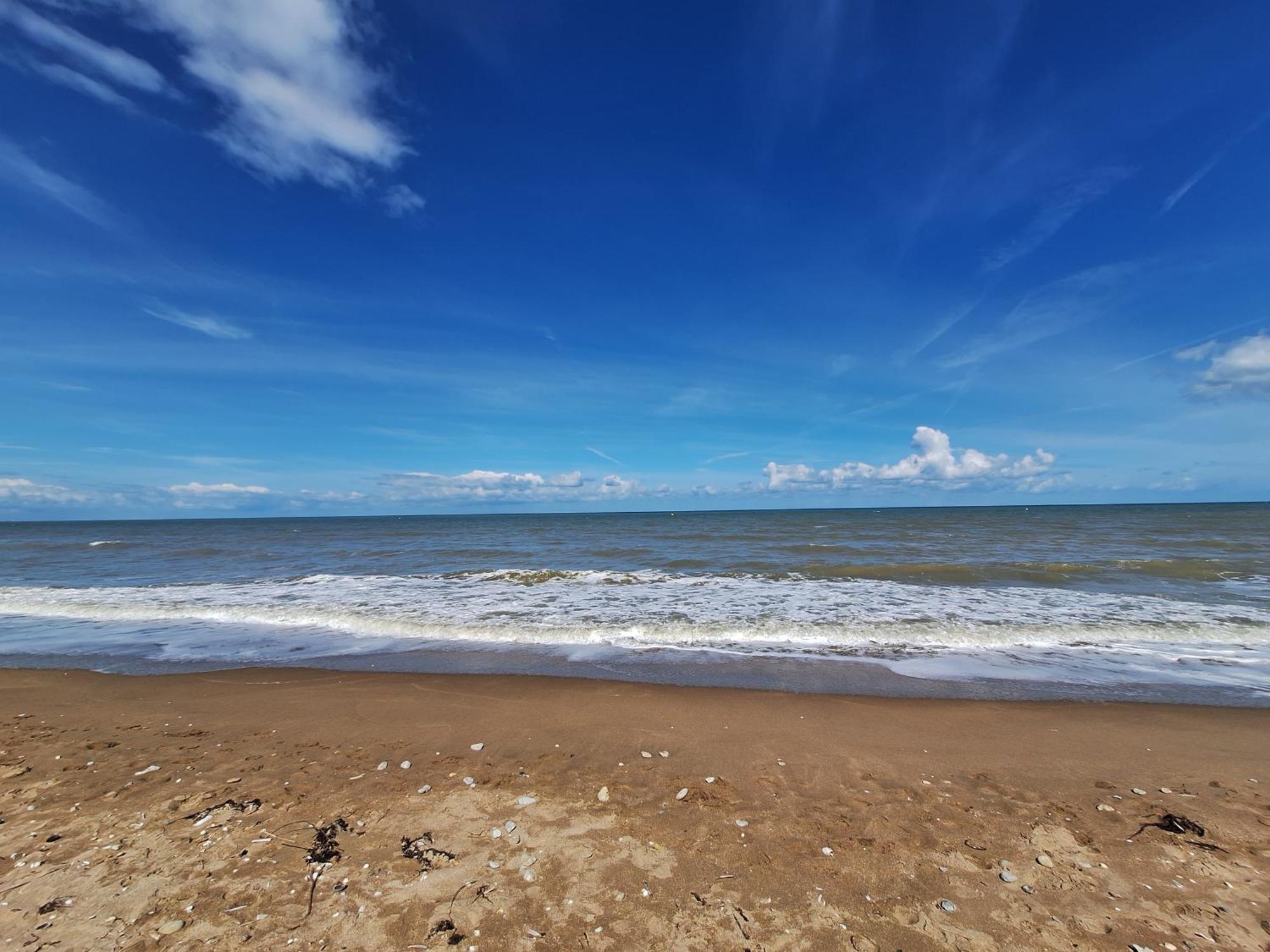Super Deauville Appartement 2 Pieces Cosy Proche Plage Plein Sud Villers-sur-Mer Exteriör bild